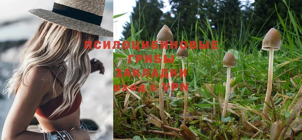 крисы Абинск