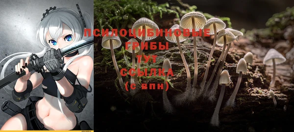 крисы Абинск