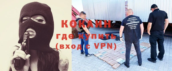 прущие грибы Россошь