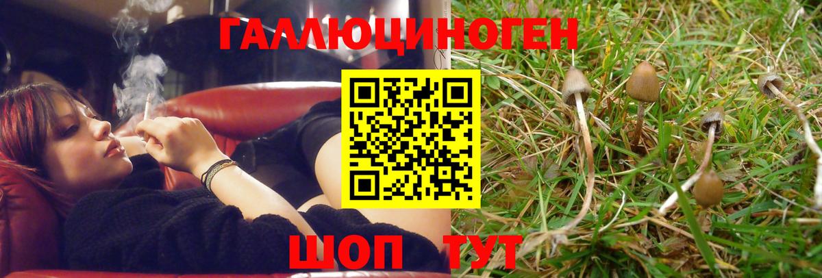 Псилоцибиновые грибы ЛСД  Вход с VPN  Псилоцибиновые грибы ЛСД  Алексин 