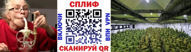 Конопля планчик  Алексин 
